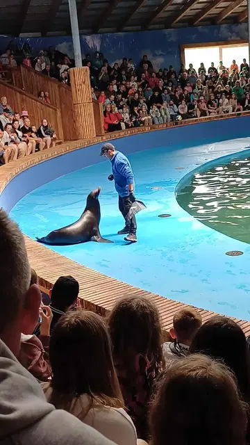 Wycieczka do Sea Park w Sarbsku